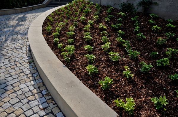 Retaining Wall Repair in San Francisco