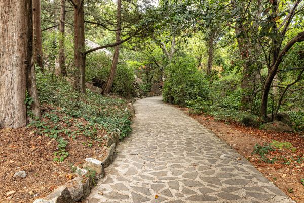 Stone Walkway Repair in San Francisco
