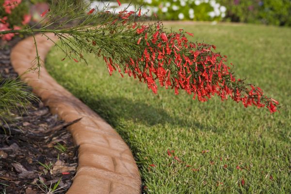 Brick Edging in San Francisco