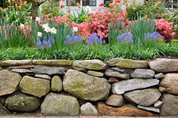 Stone Wall Hardscaping in San Francisco