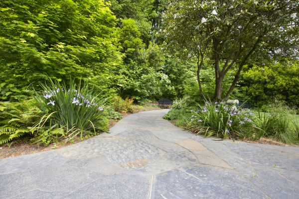 Stone Hardscape Service in San Francisco